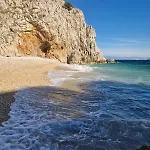 Fonovici *