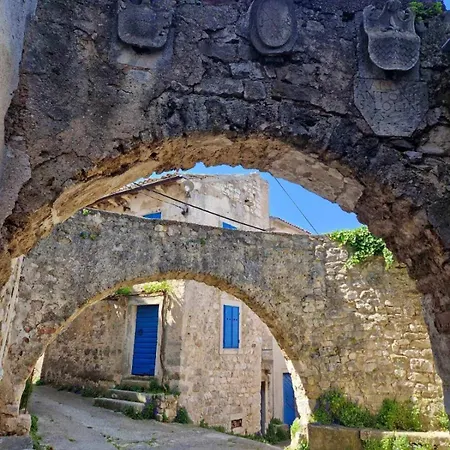Fonovici