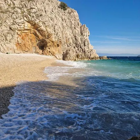 Fonovici *