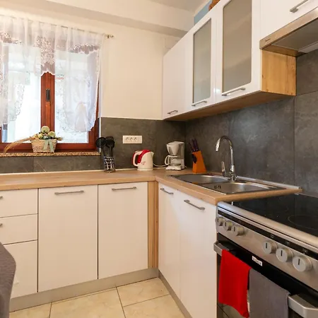 Apartament Fonovici *