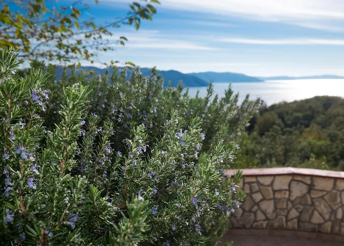 Fonovici Lejlighed Jurasi