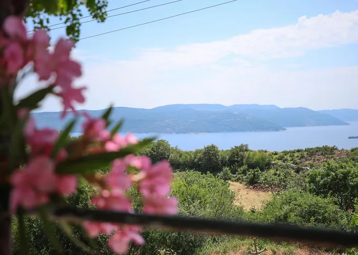 Fonovici Lejlighed Jurasi